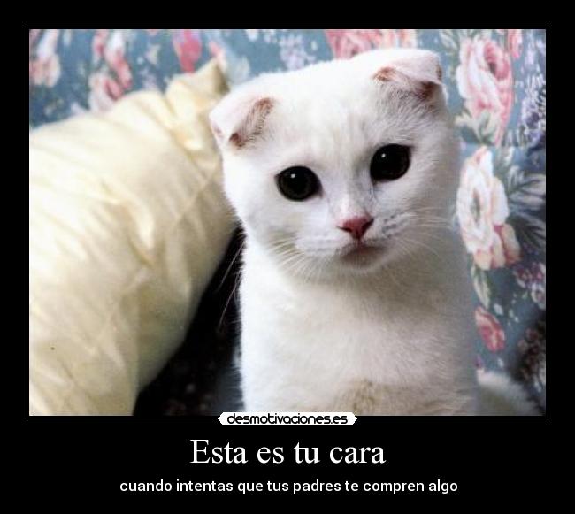 carteles hija madre desmotivaciones