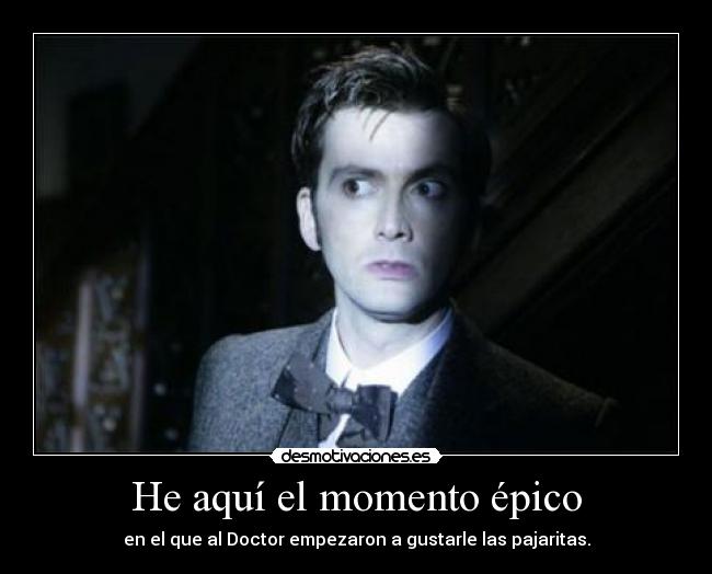 carteles clantimelord timelord semana tennant desmotivaciones