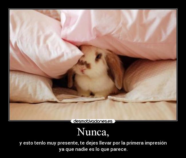 Nunca, - y esto tenlo muy presente, te dejes llevar por la primera impresión
ya que nadie es lo que parece.