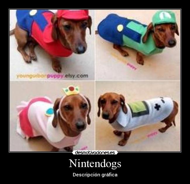 Nintendogs - 