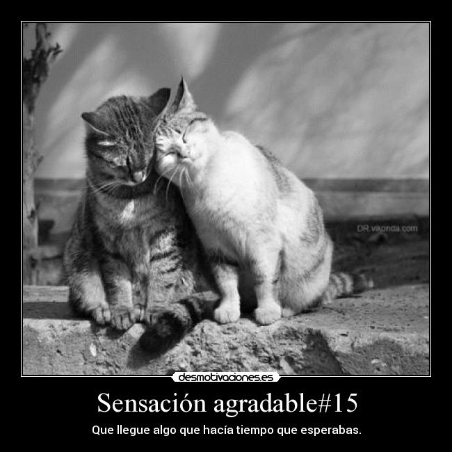 Sensación agradable#15 - Que llegue algo que hacía tiempo que esperabas.