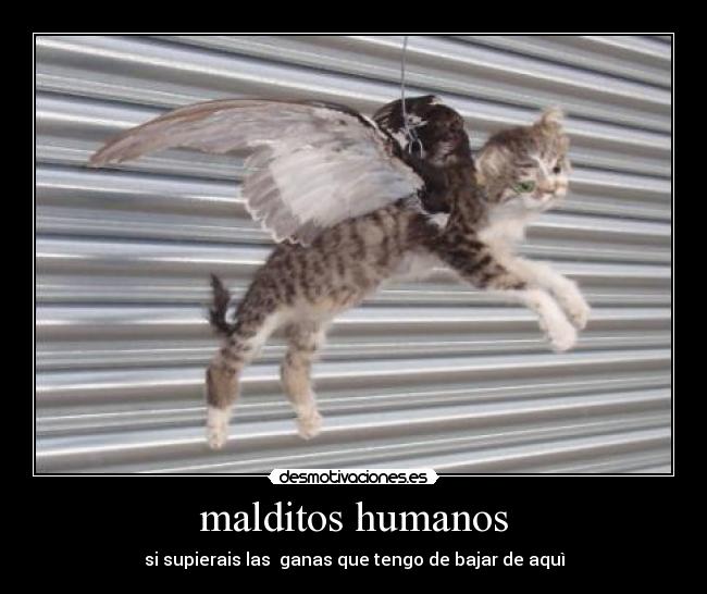 malditos humanos - si supierais las ganas que tengo de bajar de aquì