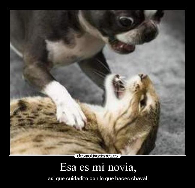 carteles lucialocaderemate desmotivaciones