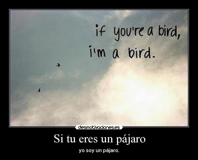 Si tu eres un pájaro - yo soy un pájaro.