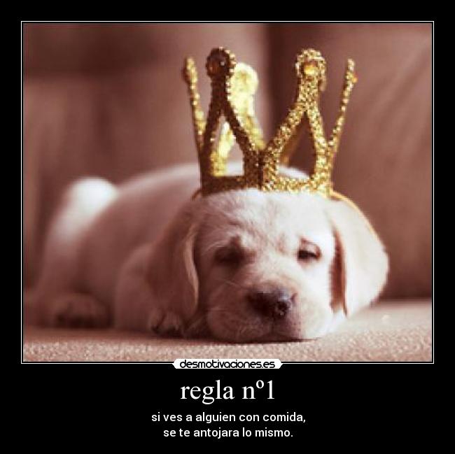 regla nº1 - si ves a alguien con comida,
se te antojara lo mismo.