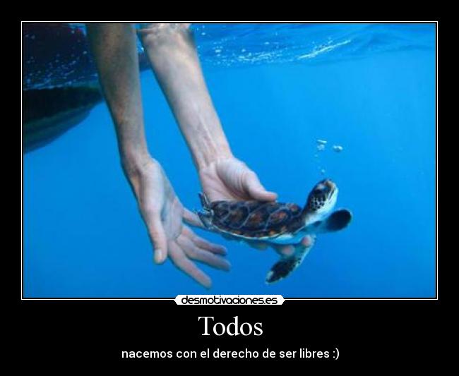 Todos - nacemos con el derecho de ser libres :)