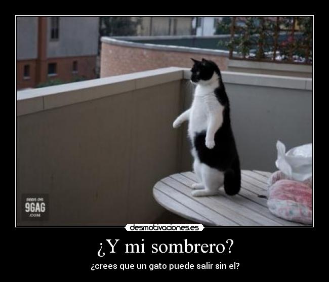 ¿Y mi sombrero? - ¿crees que un gato puede salir sin el?