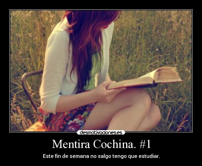 Mentira Cochina. #1 - Este fin de semana no salgo tengo que estudiar.