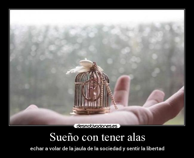 Sueño con tener alas - 