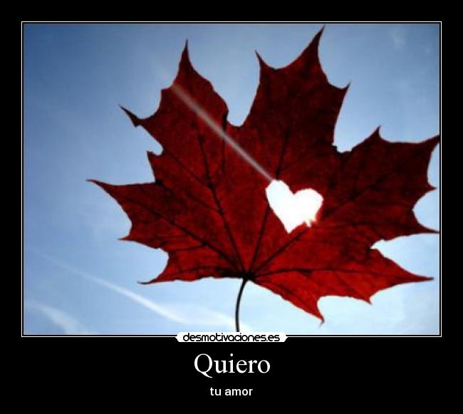 Quiero - tu amor