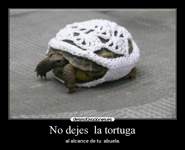 No dejes la tortuga -
