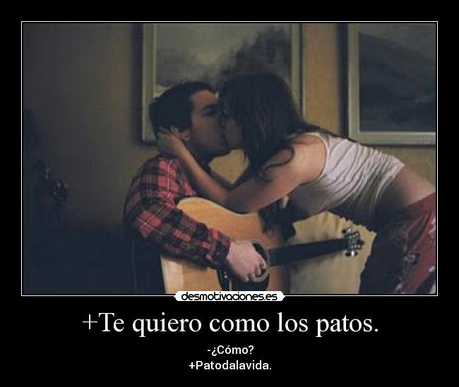 +Te quiero como los patos. -