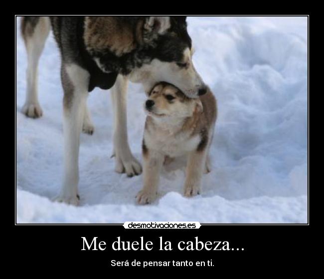 Me duele la cabeza... -