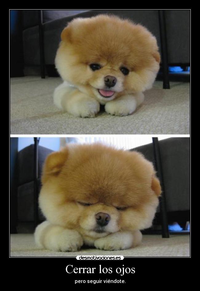 Cerrar los ojos - pero seguir viéndote.