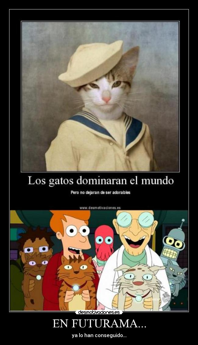 carteles gatos futurama desmotivaciones