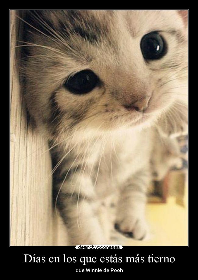 Días en los que estás más tierno - 