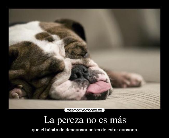 La pereza no es más - 