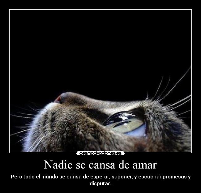 Nadie se cansa de amar - Pero todo el mundo se cansa de esperar, suponer, y escuchar promesas y disputas.