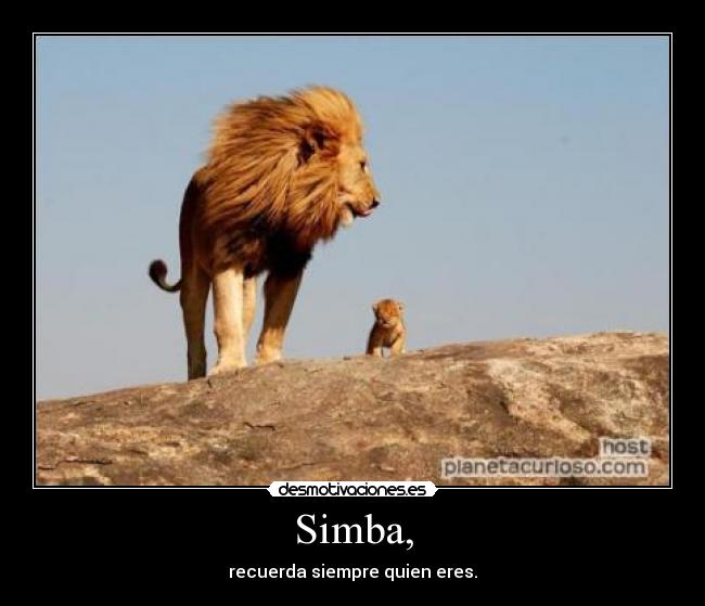 Simba, - recuerda siempre quien eres.