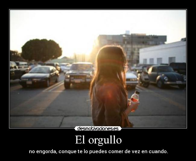 carteles cosas que hartan dia diario si sentimientos actuales okaish desmotivaciones