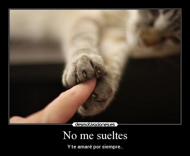 No me sueltes - Y te amaré por siempre..