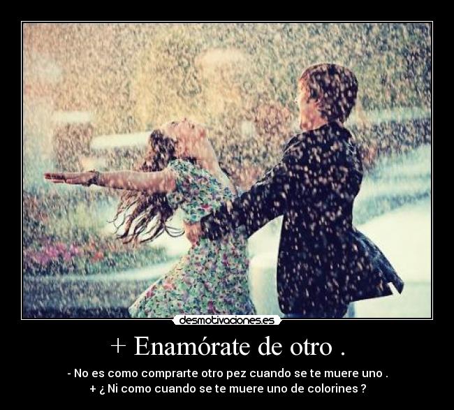 + Enamórate de otro . - - No es como comprarte otro pez cuando se te muere uno .
+ ¿ Ni como cuando se te muere uno de colorines ?