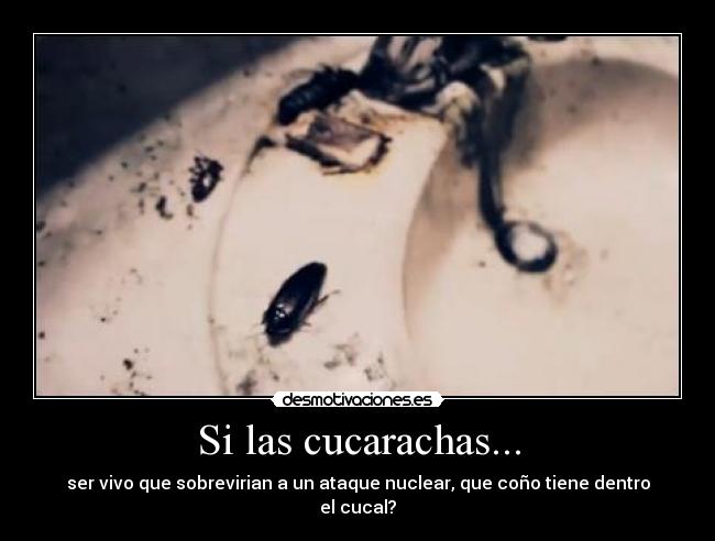 Si las cucarachas... -