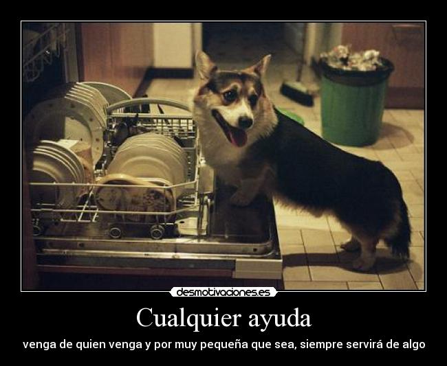 Cualquier ayuda - 