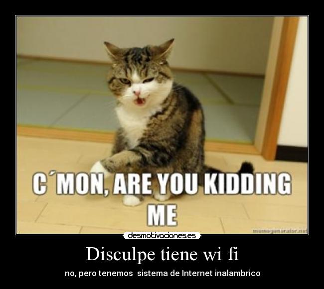 Disculpe tiene wi fi - 