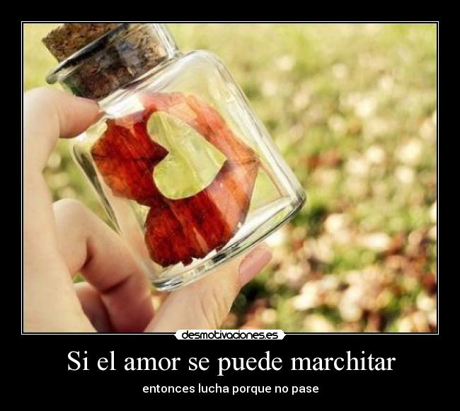 Si el amor se puede marchitar - entonces lucha porque no pase