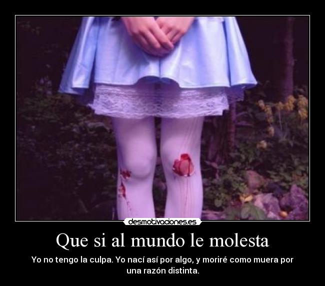 carteles mundo sangre desmotivaciones