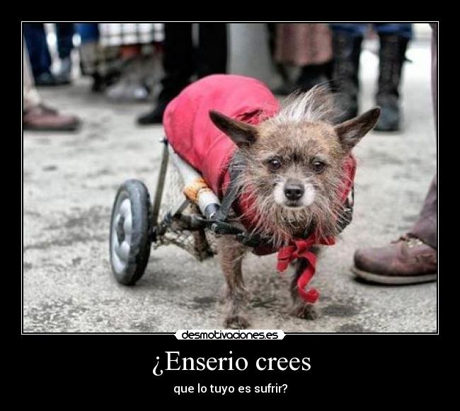 ¿Enserio crees - 