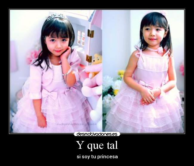 carteles que tal soy princesa desmotivaciones