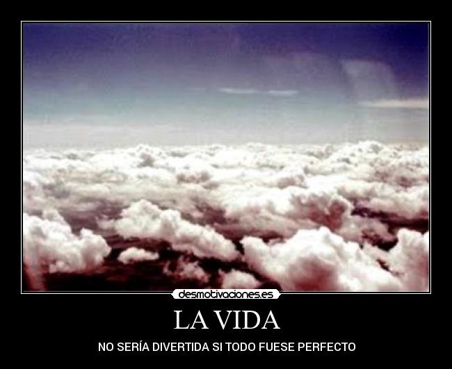 LA VIDA - NO SERÍA DIVERTIDA SI TODO FUESE PERFECTO