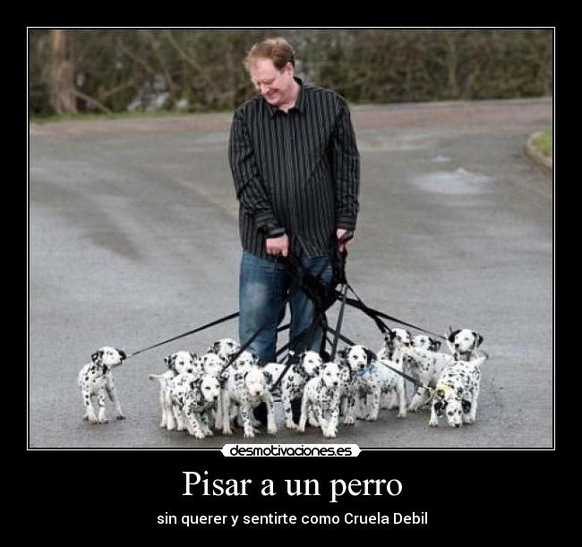 Pisar a un perro - sin querer y sentirte como Cruela Debil