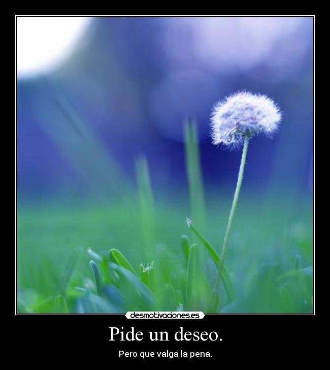 carteles pide deseo valga pena desmotivaciones