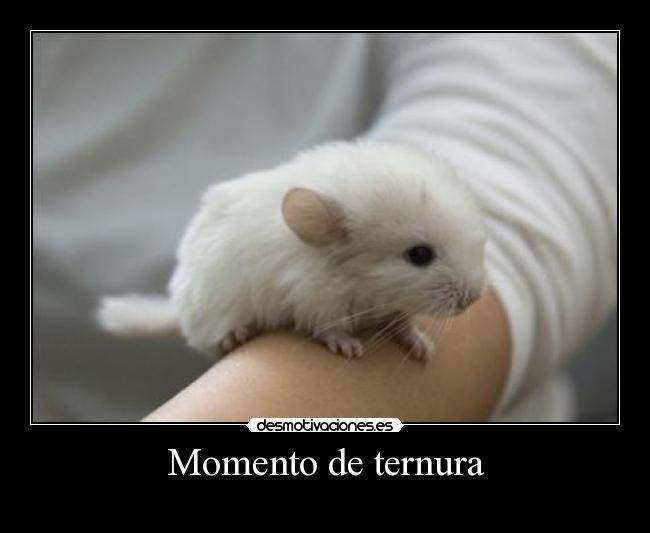 Momento de ternura -