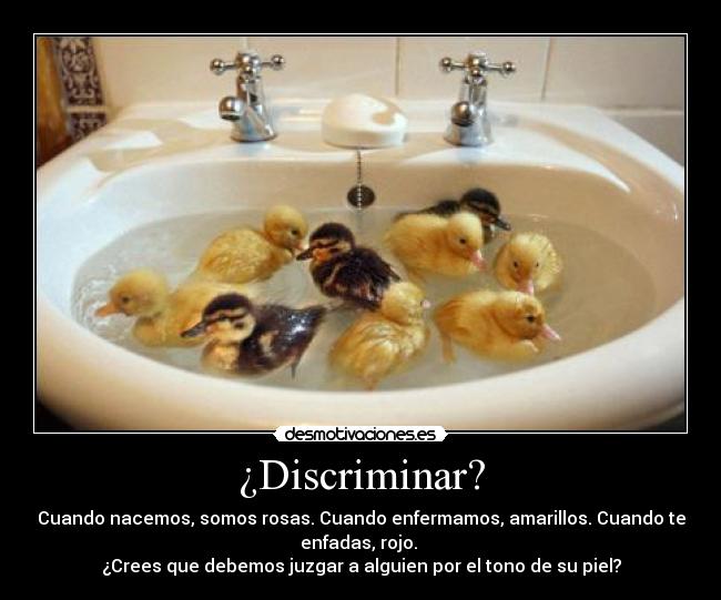 ¿Discriminar? - Cuando nacemos, somos rosas. Cuando enfermamos, amarillos. Cuando te
enfadas, rojo. 
¿Crees que debemos juzgar a alguien por el tono de su piel?