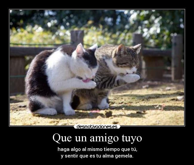 Que un amigo tuyo -
