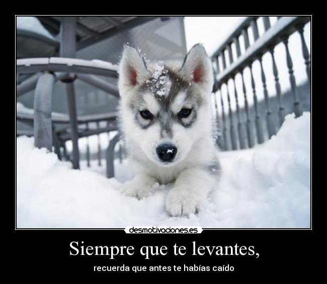 Siempre que te levantes, - 