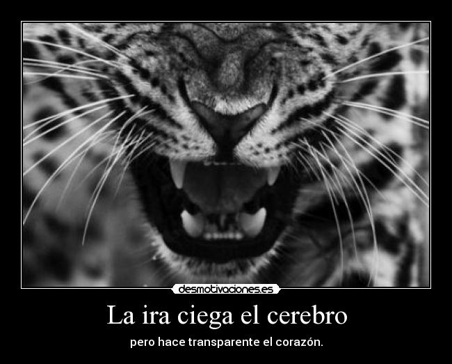 La ira ciega el cerebro -