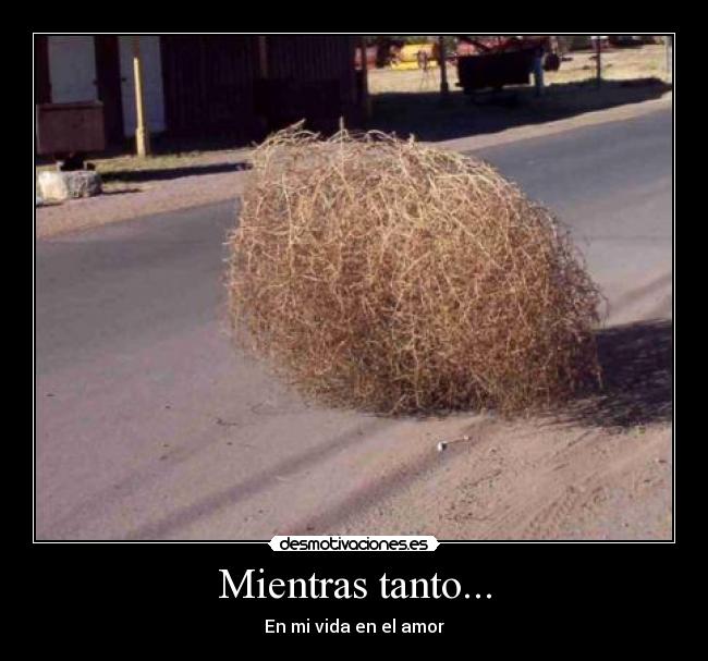 Mientras tanto... - En mi vida en el amor