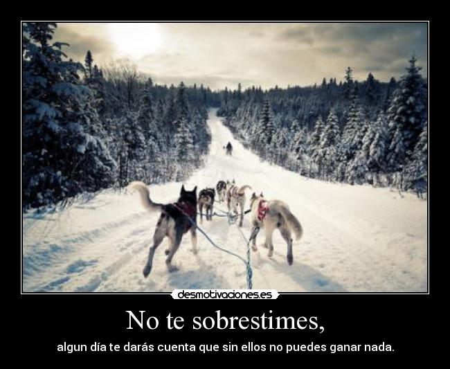 No te sobrestimes, - 