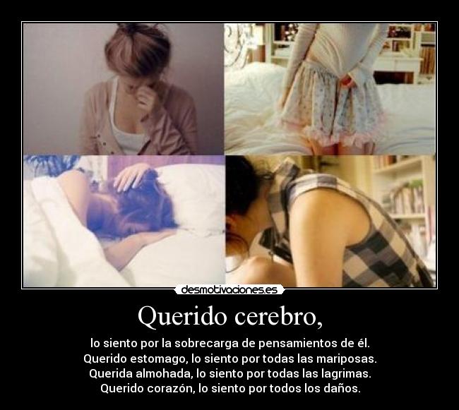 Querido cerebro, - lo siento por la sobrecarga de pensamientos de él.
Querido estomago, lo siento por todas las mariposas.
Querida almohada, lo siento por todas las lagrimas.
Querido corazón, lo siento por todos los daños.
