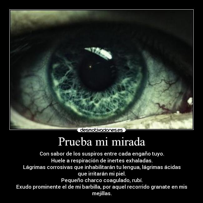 Prueba mi mirada - Con sabor de los suspiros entre cada engaño tuyo.
Huele a respiración de inertes exhaladas.
Lágrimas corrosivas que inhabilitarán tu lengua, lágrimas ácidas
que irritarán mi piel.
Pequeño charco coagulado, rubí.
Exudo prominente el de mi barbilla, por aquel recorrido granate en mis
mejillas.