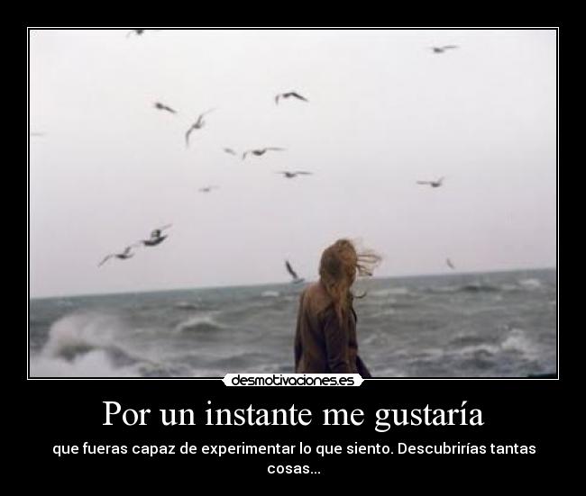Por un instante me gustaría -