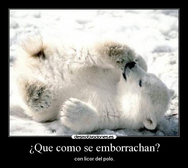 ¿Que como se emborrachan? -