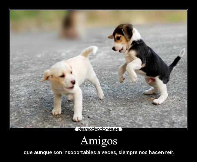 carteles amigos mas puppies mas puppies desmotivaciones