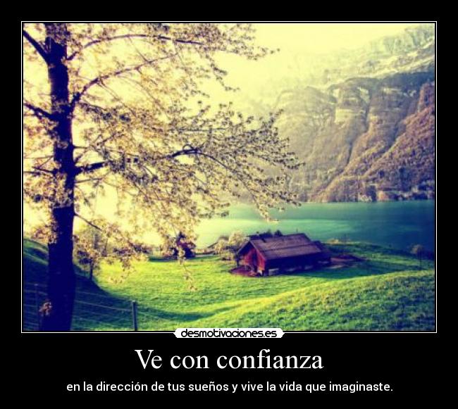 carteles confianza confianza direccion suenos vive vida imaginaste desmotivaciones