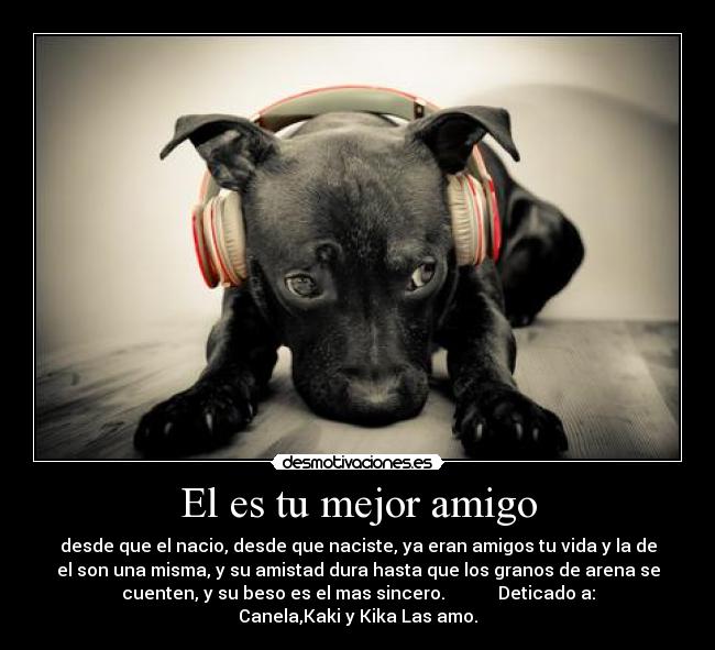 El es tu mejor amigo -